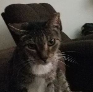 Meet your Posher, Larry